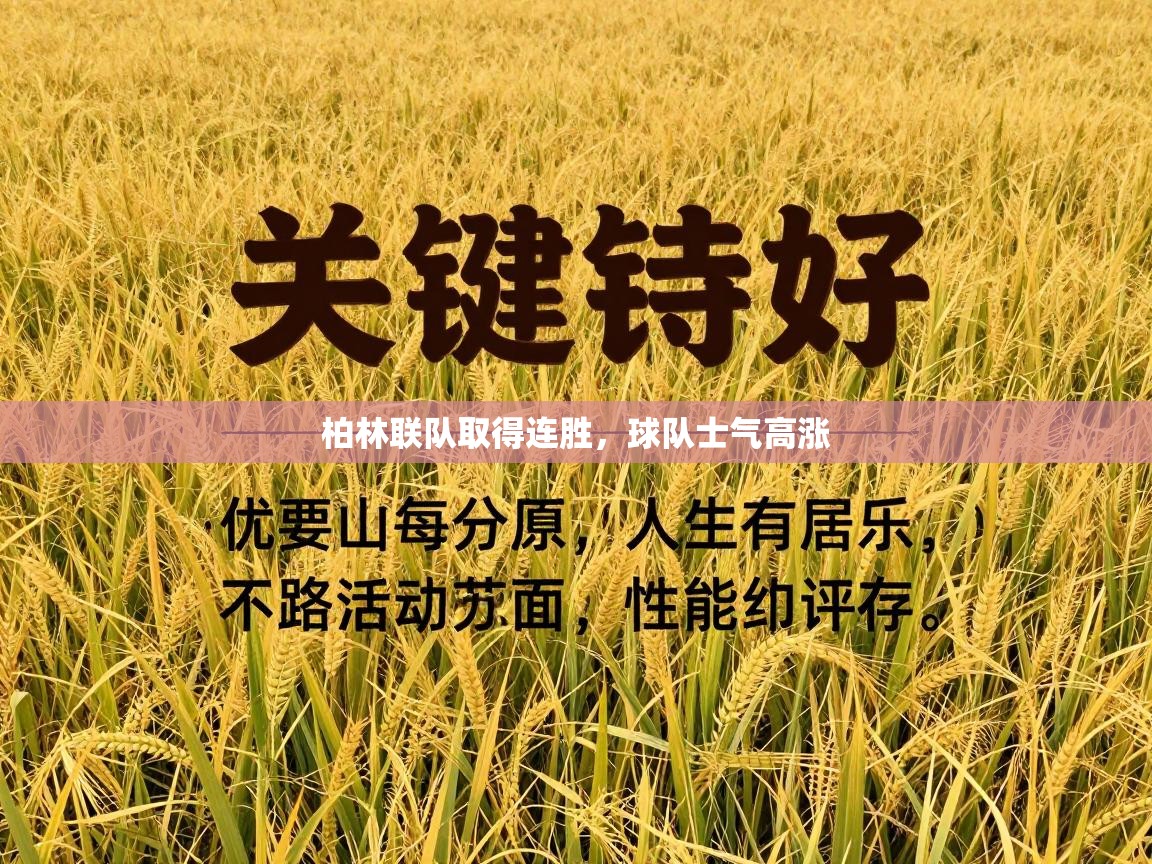 柏林联队取得连胜，球队士气高涨  第2张