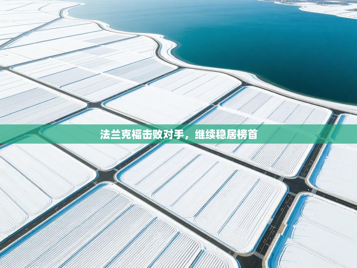 法兰克福击败对手,继续稳居榜首 第2张