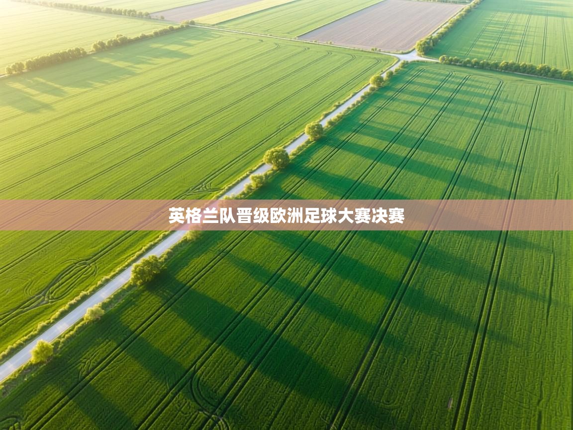 英格兰队晋级欧洲足球大赛决赛  第1张