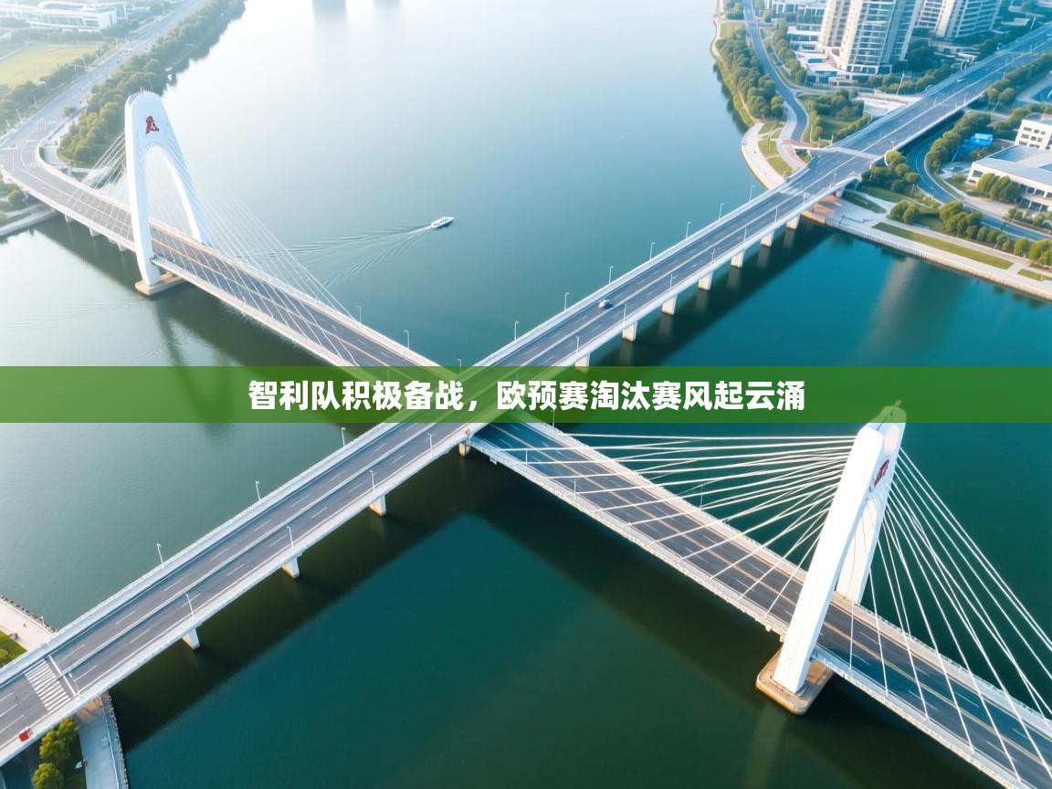 智利队积极备战，欧预赛淘汰赛风起云涌  第1张