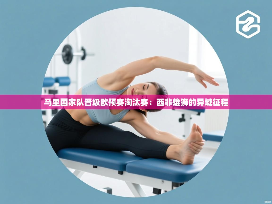 马里国家队晋级欧预赛淘汰赛:西非雄狮的异域征程 第2张