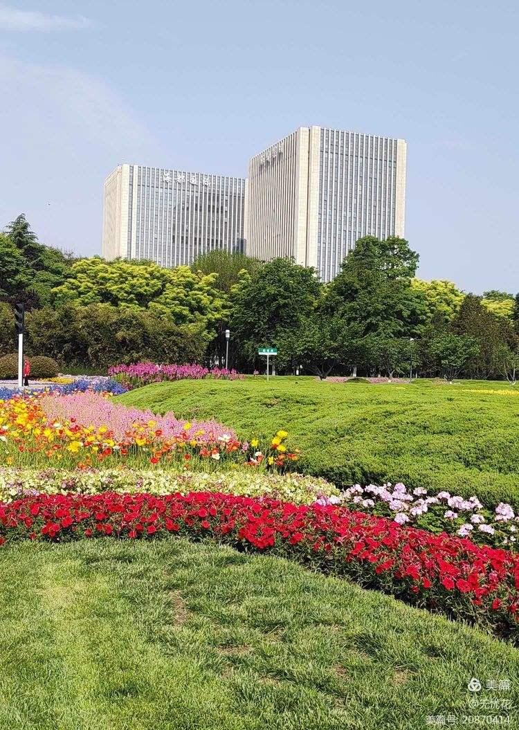 关于万紫千红，令人陶醉的赛场景象将亮相的信息